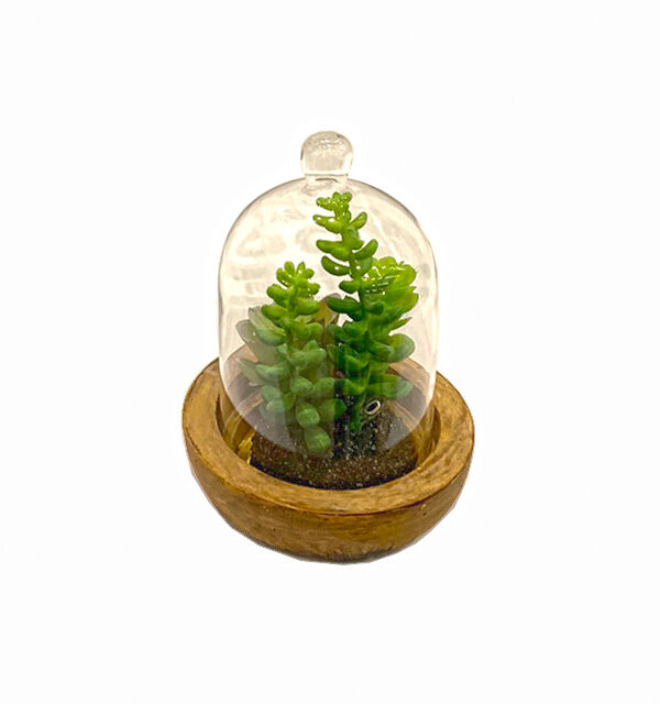 planta decorativa premium Natura Élite