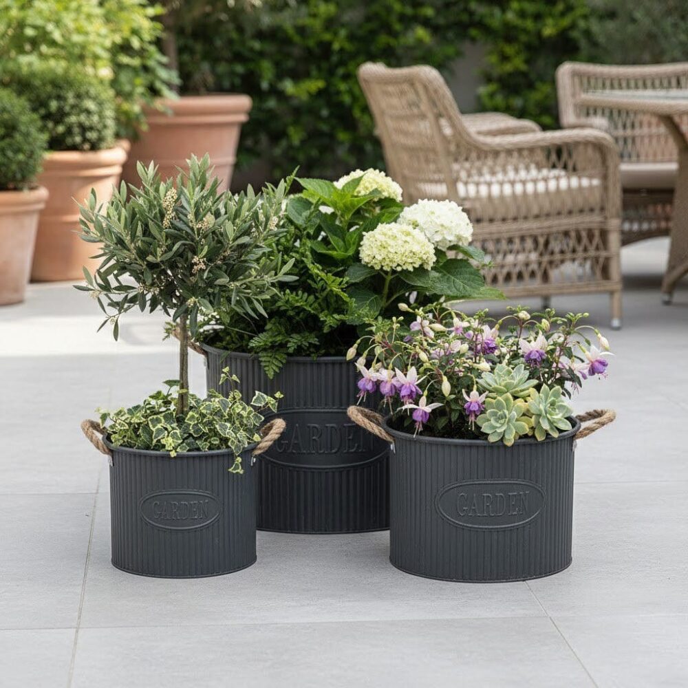 Portamaceta Radiante Horizonte